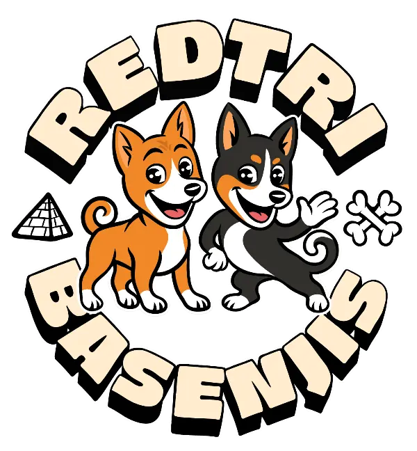Redtri Basenjis